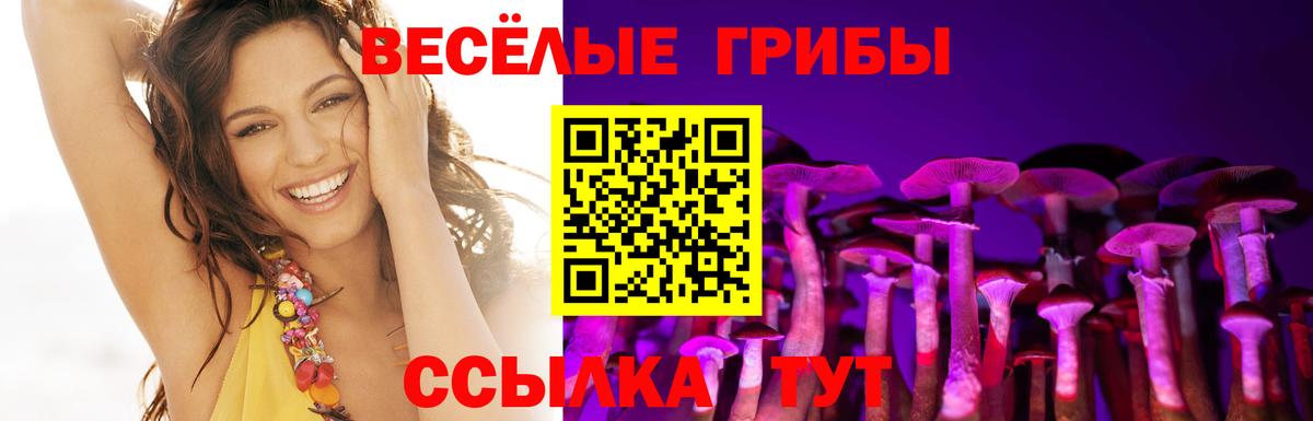 Галлюциногенные грибы Magic Shrooms  Вход с VPN  Серов  Псилоцибиновые грибы мицелий 